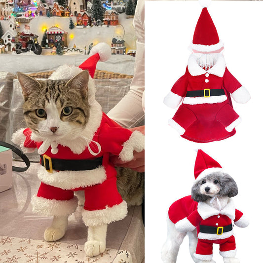 🎄 Świąteczne ubranka dla kota i psa